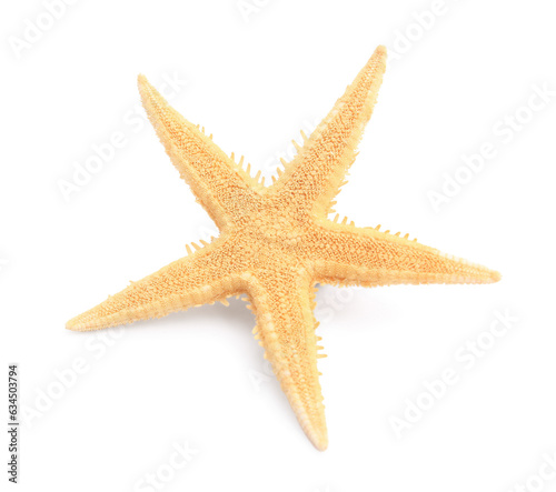 Beautiful sea star (starfish) isolated on white © New Africa
