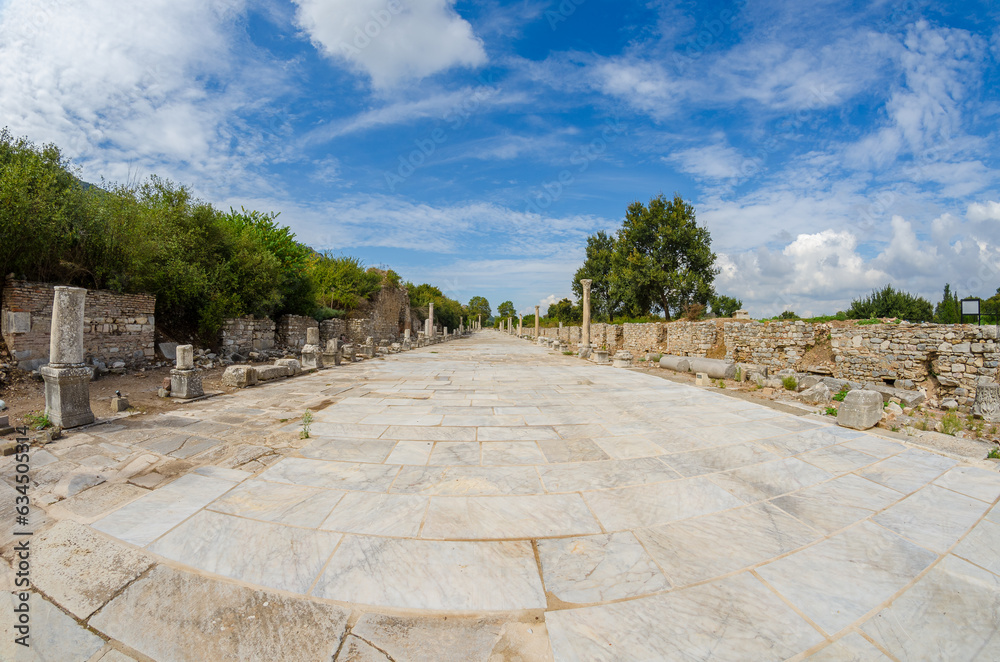 Ruins of the ancient Arcadian road, located in the Ephesus in Turkey