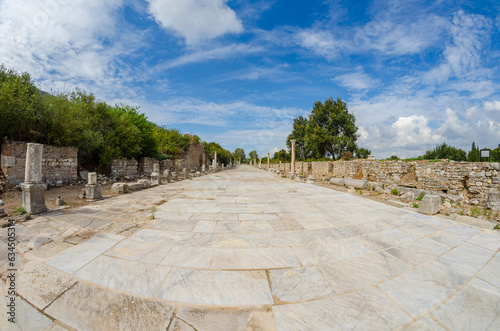 Ruins of the ancient Arcadian road, located in the Ephesus in Turkey
