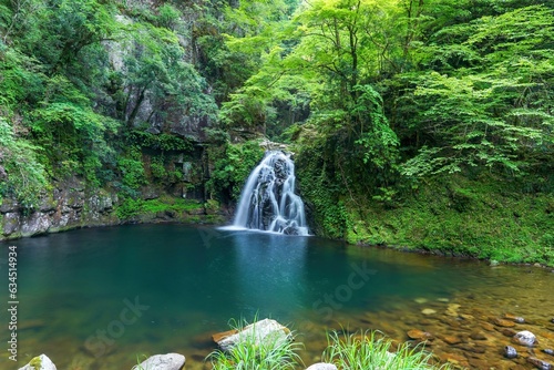 Fototapeta Naklejka Na Ścianę i Meble -  赤目四十八滝で見たグリーンに囲まれた涼し気な千手滝の情景