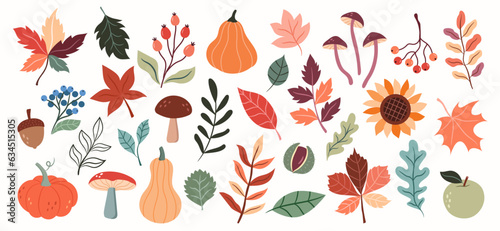 A set of colorful autumn plants with leaves, pumpkins, mushrooms, apples, berries