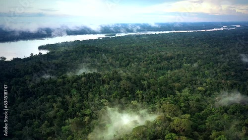 Flight with a drone over the canopy of the Amazon Rainforest with light clouds.