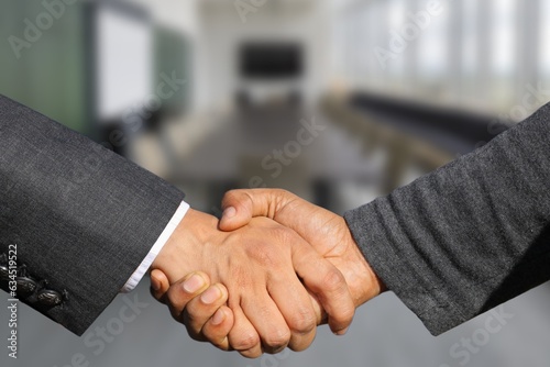 a businessman shaking hands establishes a working relationship