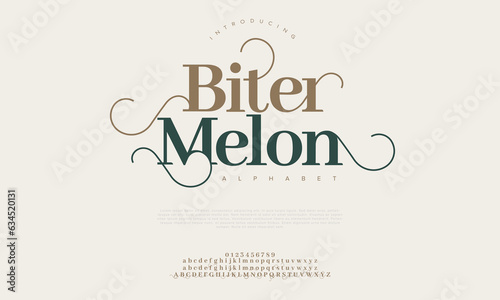 Bitermelo premium luxury elegant alphabet letters and numbers. Elegant wedding typography classic serif font decorative vintage retro. Creative vector illustration