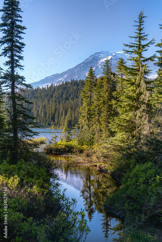 Beautiful Mount Rainier National park in Washington 