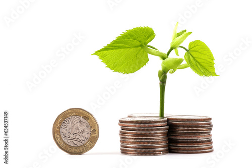Young sprout with green leaves and 1 british pound coin on white background