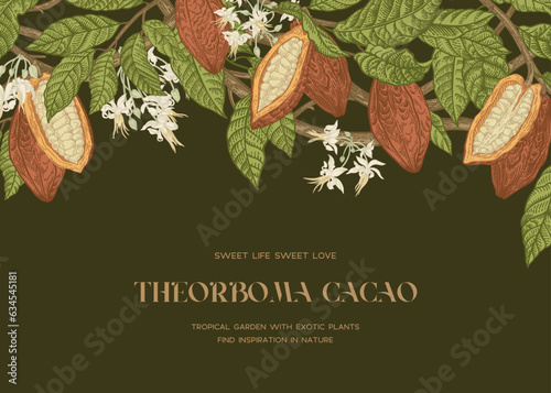 Floral botanical card with cocoa plant. Fruits, flowers, leaves on a dark background.