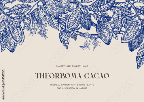 Card with leaves and fruits of cocoa. Horizontal. Vector vintage illustration. Blue