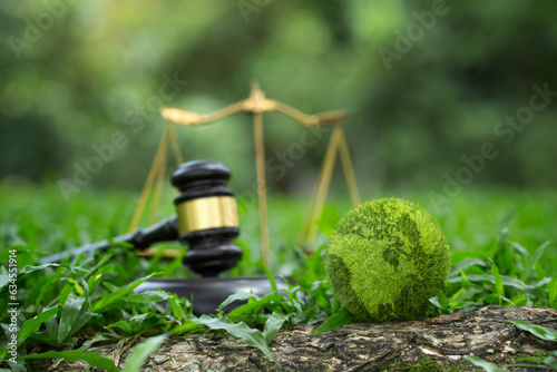 Environment Law. Green World and gavel with scales of justice on the green. law for principles of sustainable environmental conservation. law that governs how humans interact with their environment. photo