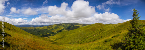 panorama of the mountains in summer