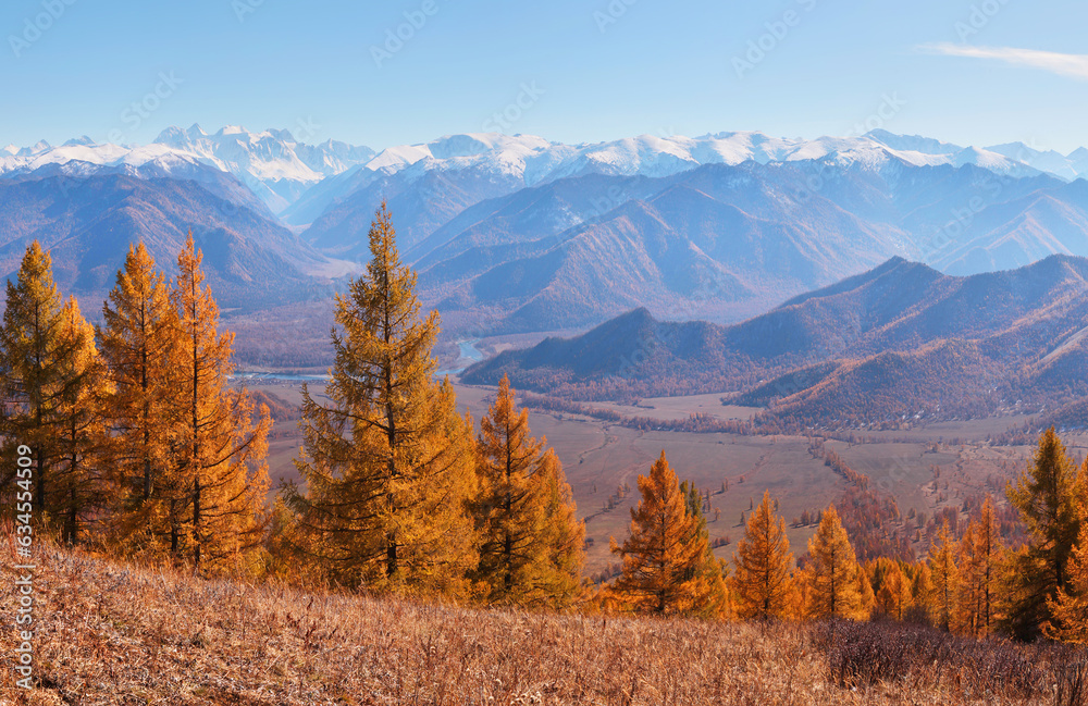 Autumn view, forest and mountains, sunny day