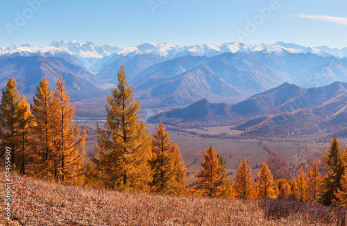 Autumn view  forest and mountains  sunny day