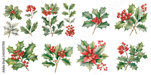 watercolor holly plant flower clipart for graphic resources