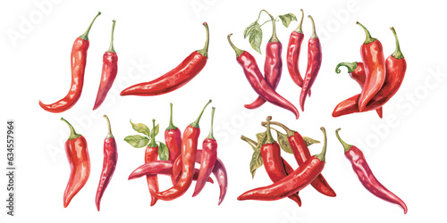 watercolor chili pepper clipart for graphic resources