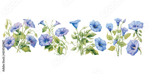 watercolor morning glory flower clipart for graphic resources