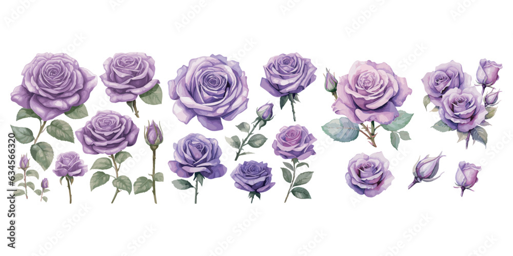 watercolor purple rose clipart for graphic resources Stock Vector