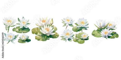 watercolor white lotus clipart for graphic resources