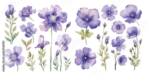 watercolor purple flower clipart for graphic resources © Dgillustration12u