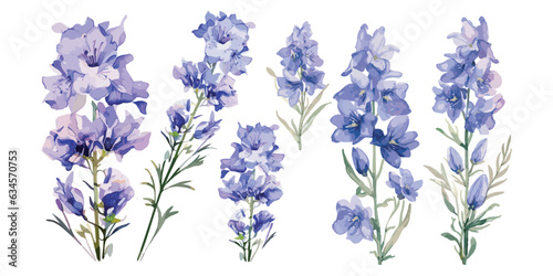 watercolor larkspur flower clipart for graphic resources photo