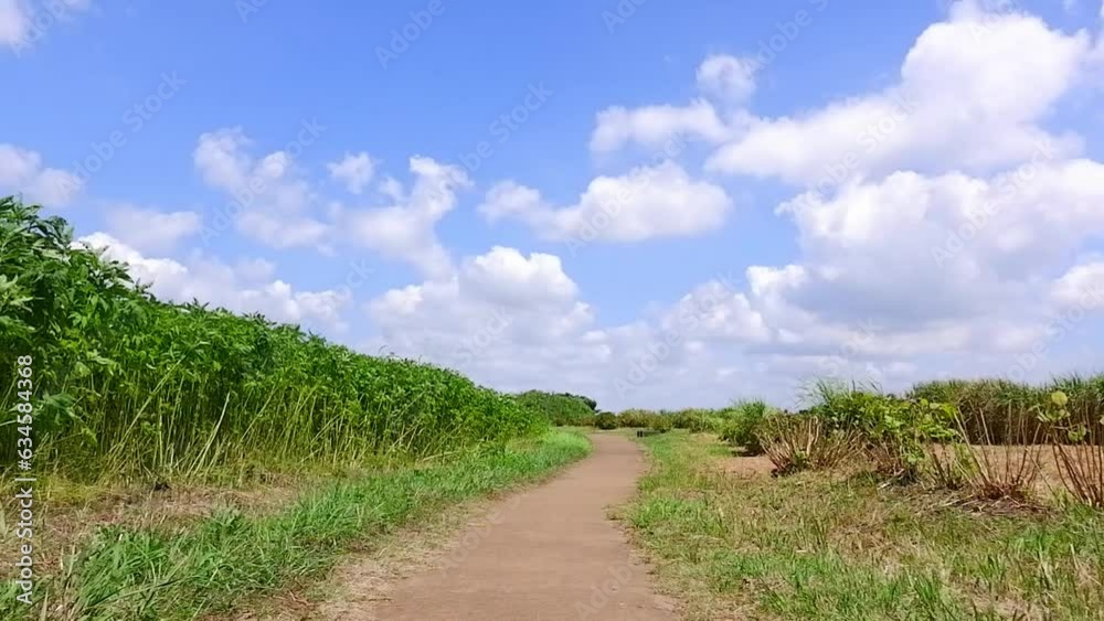 Country Road on a sunny day Country Road on a sunny day