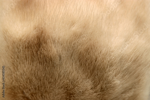 Light brown beige mink fur flat texture photo