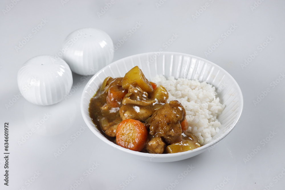 Japanese Curry Rice with Meat, Carrot and Potato. Japanese Food. Japanese Curry Rice with Meat, Carrot and Potato. Japanese Food.
