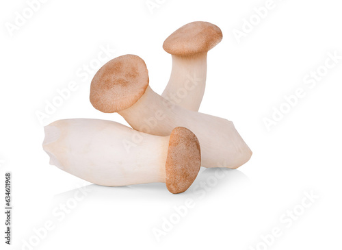 King oyster mushroom Pleurotus eryngii isolated on transparent png photo