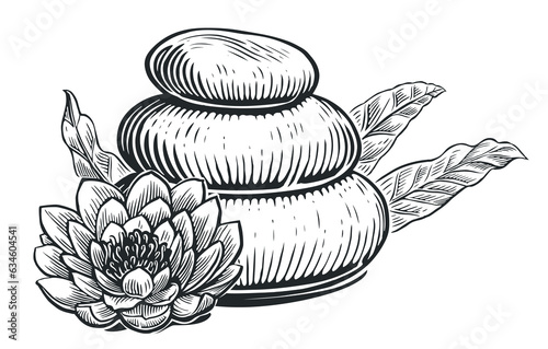 Zen spa basalt stones with flower lily and eucalyptus leaves. Massage therapy sketch vintage vector illustration