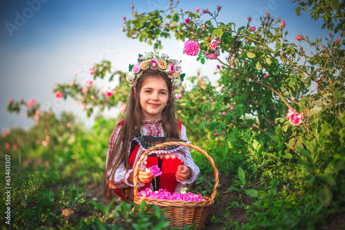 Bulgarian Rose Damascena field, Roses valley Kazanlak, Bulgaria. Girl in ethnic folklore clothing harvesting oil-bearing roses at sunrise.