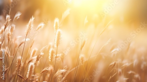 Generative AI   Grass flower field in spring background with sunlight