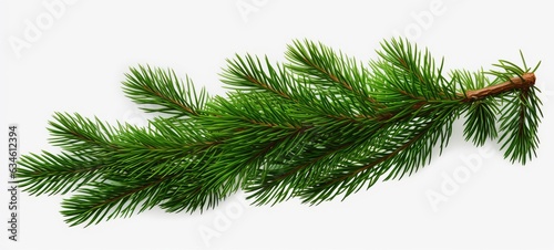 Closeup of spruce of fresh green fir or sprue branch  isolated on white background  Generative Ai 