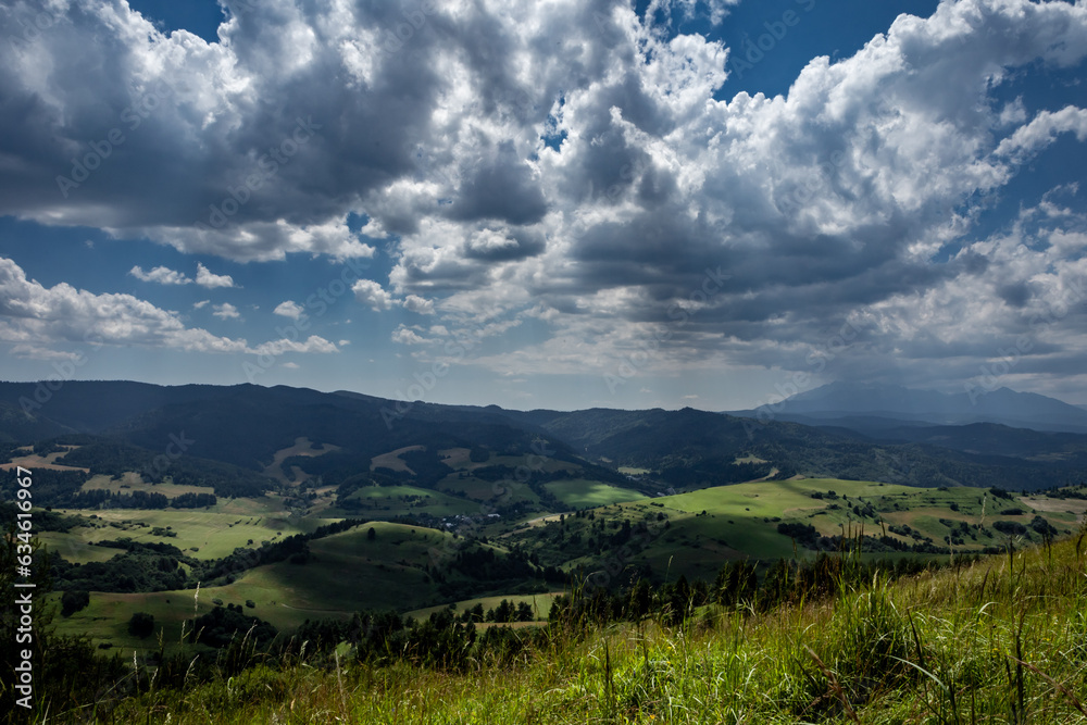 Mountain landscape viewed from Husciawa in Pieniny, Poland. Wild meadow flowers in foreground. 

