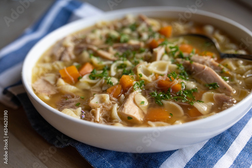 Chicken noodle soup with shell noodles and vegetables 