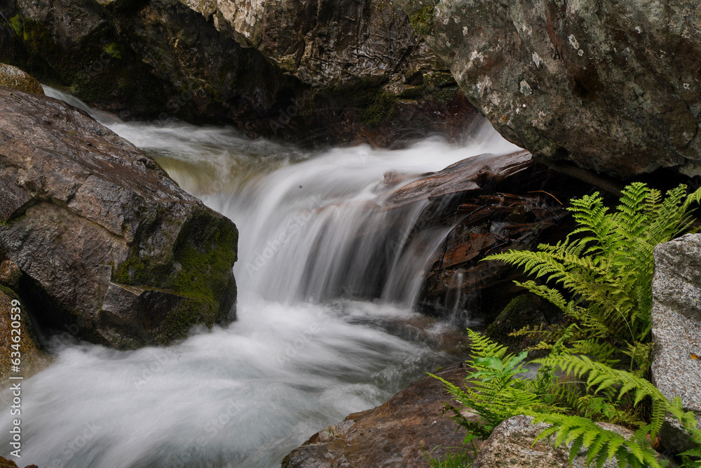 Fototapeta premium waterfall in the mountains flowing through the river rocks, low shutter speed