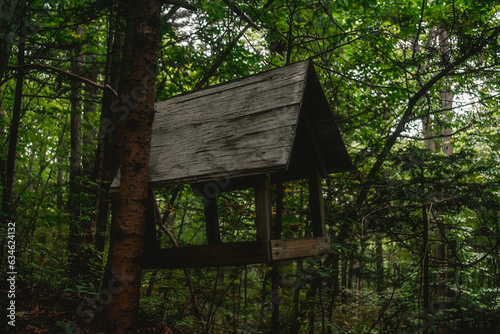 A bird feeder hangs on a tree in a dense forest. Wooden bird feeder in the form of a house. © Tishina