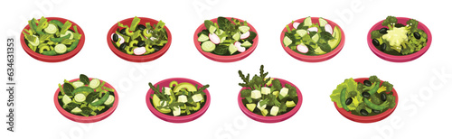 Fresh Green Salad with Vegetables and Herbs in Bowls Vector Set