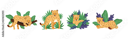 Spotted Leopard or Jaguar with Yellow Skin Among Tropical Leaves Vector Set