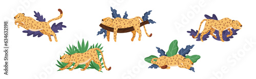 Spotted Leopard or Jaguar with Yellow Skin Among Tropical Leaves Vector Set