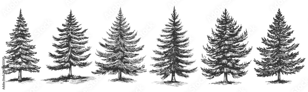Set of fir tree engravings, transparent, Christmas decoration, Generative AI