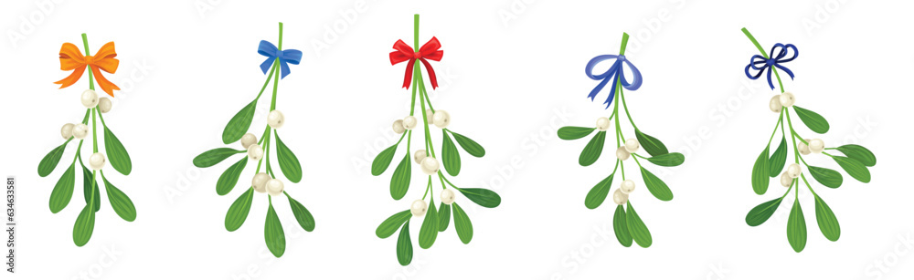 Mistletoe Green Branches with Oblong Leaves and Berries and Ribbon Bow Vector Set Mistletoe Green Branches with Oblong Leaves and Berries and Ribbon Bow Vector Set