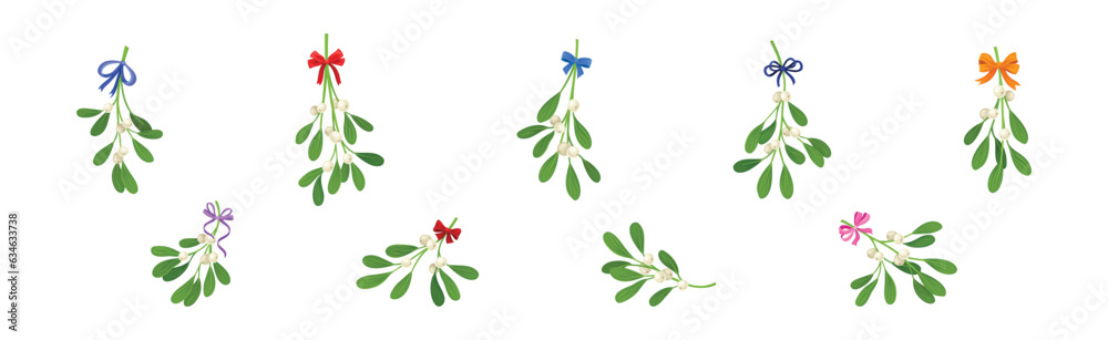 Mistletoe Green Branches with Oblong Leaves and Berries and Ribbon Bow Vector Set Mistletoe Green Branches with Oblong Leaves and Berries and Ribbon Bow Vector Set