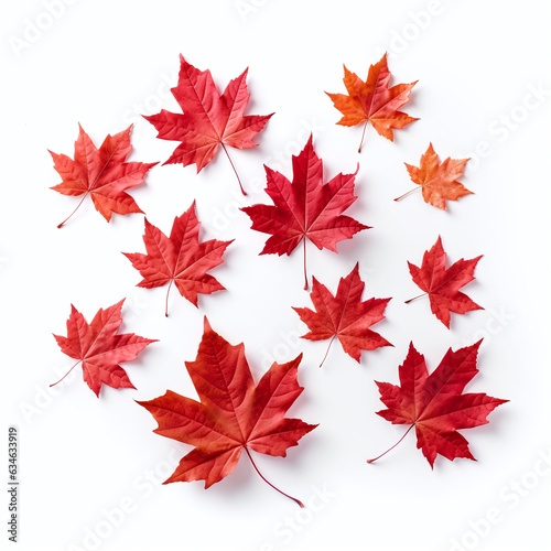 Red and orange maple leaves in different size isolated on white background. Created with Generative AI technology.