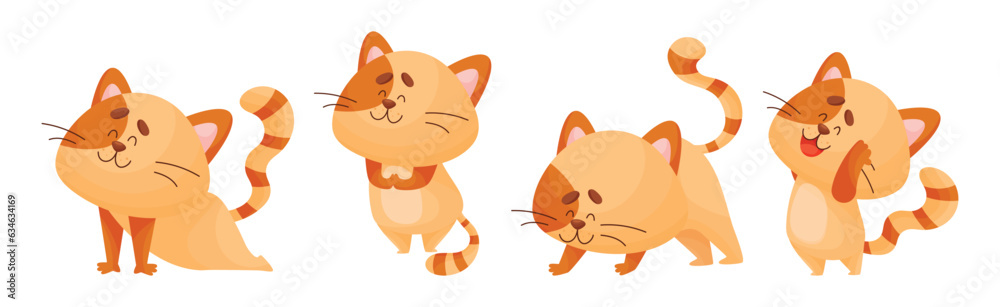 Fototapeta premium Ginger Cat with Striped Tail Doing Yoga Standing in Asana Vector Set