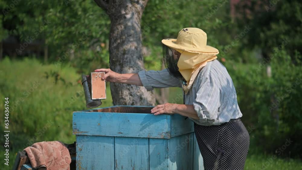 Beekeeper inspecting a honeycomb frame full of bees and honey at apiary in summer garden. Beekeeping concept video Beekeeper inspecting a honeycomb frame full of bees and honey at apiary in summer garden. Beekeeping concept video