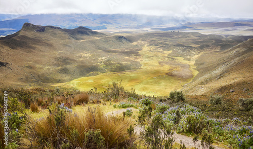 View from the trail to Ruminahui  Cotopaxi National Park  Ecuador.