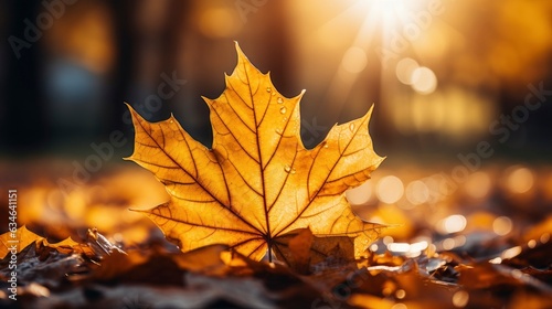 Fall Leaves  Autumn  Generative AI