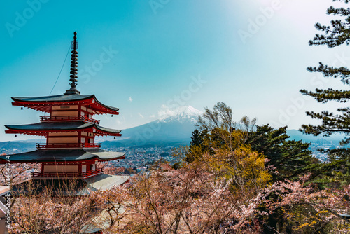 A view of Mount Fuji in Japan with a traditional red Pagoda. Cherry blossom.