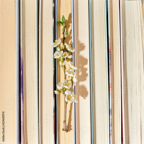 Stack of books with branch flowers, World book day, knowledge and creativity concept, spring, summer mood, copy space, top view.