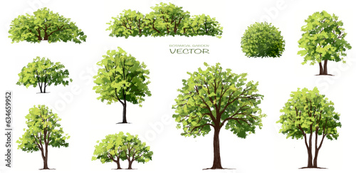 Fotografiet Vector watercolor green tree side view isolated for landscape and architecture d