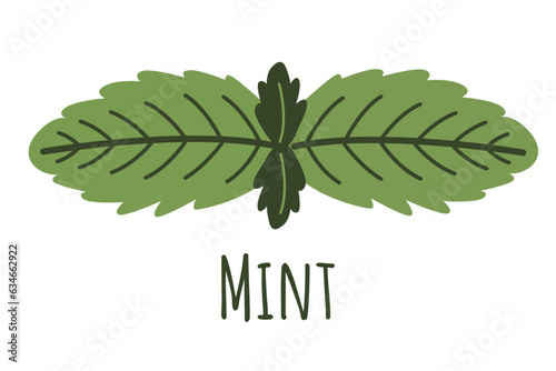 Mint leaves isolated on white background. Medicinal plant for sleep and relaxation. Natural remedy and food spice. Herb symbol isolated on white background. 